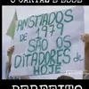 lobobrasil8