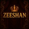 Mian zeeshan
