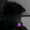 spider_belak