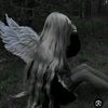 user52427807981391