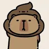my_cham_duong