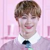 lemon_wony