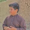 zaviarprince