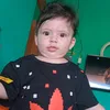 cachorro.louco.20