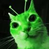 peke2559