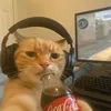 harrym213