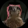 d_i.y