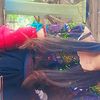 lizabeth.hernande73