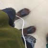 smallchase14
