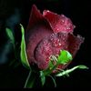 farman__ullah09