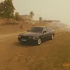 damir3825