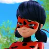 ladybug_linda2