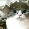zxcwawe