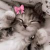 its_maria3333