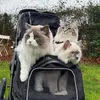 poofybros