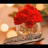 user8507718883182