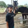 user31000704323196