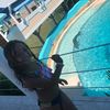 anayaspamzz0