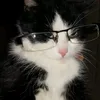 9ssjr