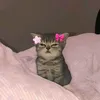 lilagirl911