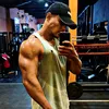 gustavo.silva2517
