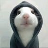 billyafrianda17