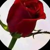 user10739711698002