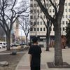 louieplayfisch1
