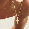 mtheusousa