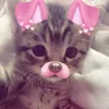 abcdeprivate_