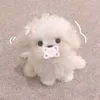 ily_nhu34