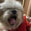 Nanaymo