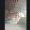 delima.situmorang4