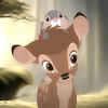 tyler_9828