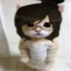 abra_2022