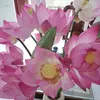 huy.nguyen.888