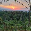 sitinafilah50
