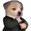 gapachxmadoibahamaythkem