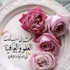 user5973429800697