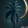 user59381229017161