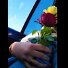 user13019936249696