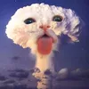 aliencrazy5