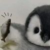 silvi_0560