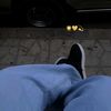 moh88med0