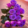 user8054361287051
