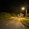maisie_partridge