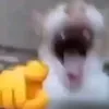 1conma