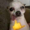 angelsebastianher93
