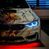 hazemhelal901