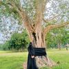mahmudaislamopi